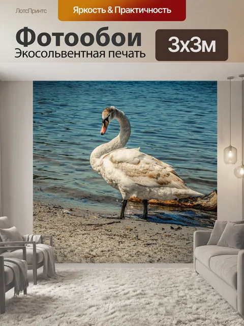 Фотообои Лебедь