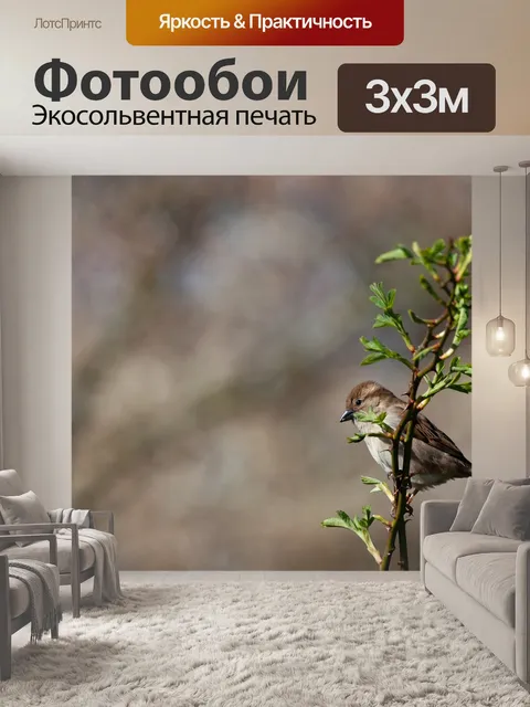 Фотообои Воробей