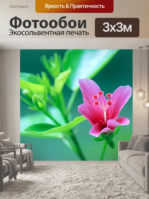 Фотообои Gumamela