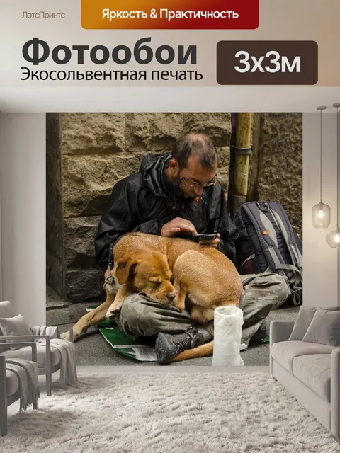 Фотообои Собака