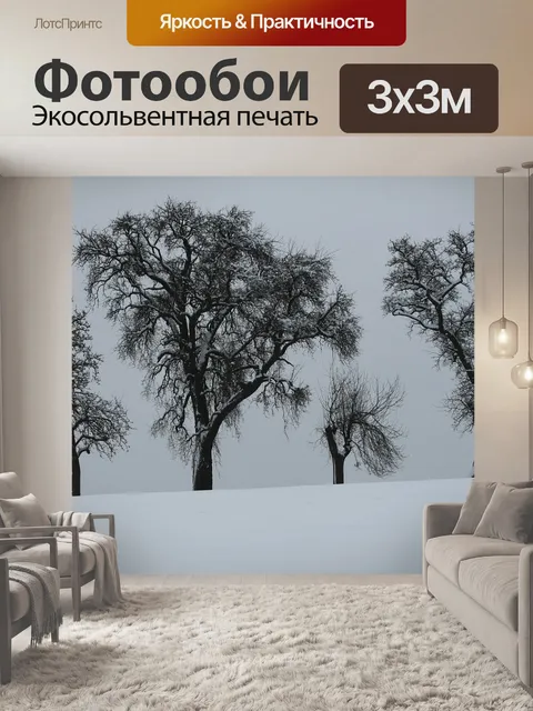 Фотообои Зима