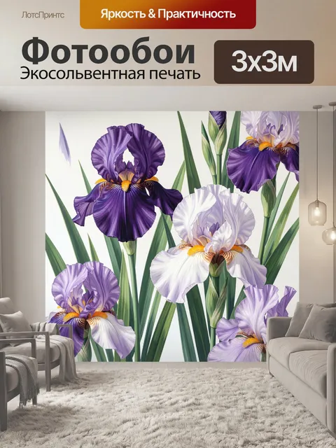 Фотообои Фиолетовые ирисы на белом фоне