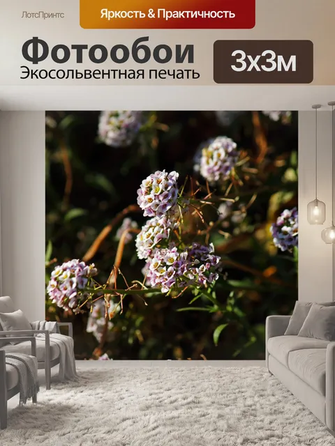 Фотообои сиреневые белые сладкие цветы алиссума