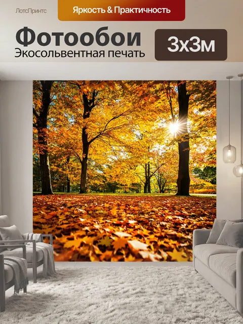 Фотообои листва осенью, разноцветные листья на земле, солнечный свет пробивается сквозь кроны деревьев, создавая…