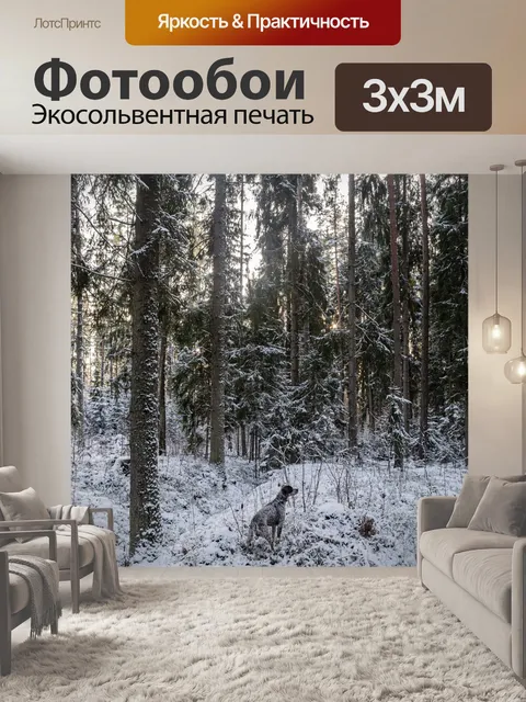 Фотообои Зима