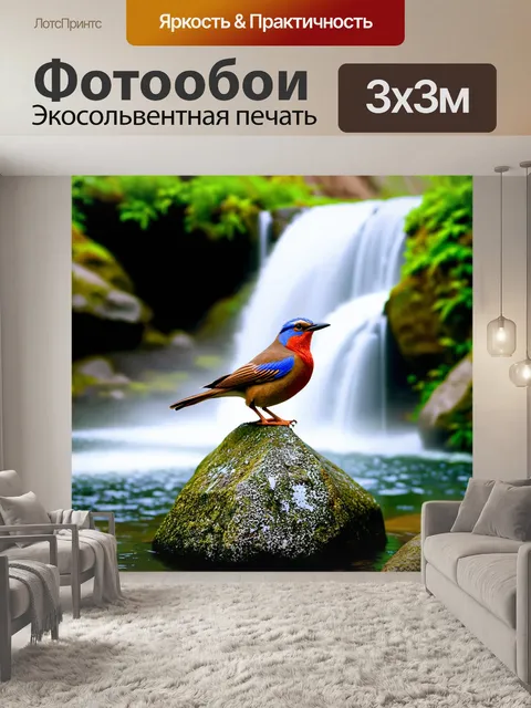 Фотообои птица, сидящая на камне у водопада, её перья намокли от брызг