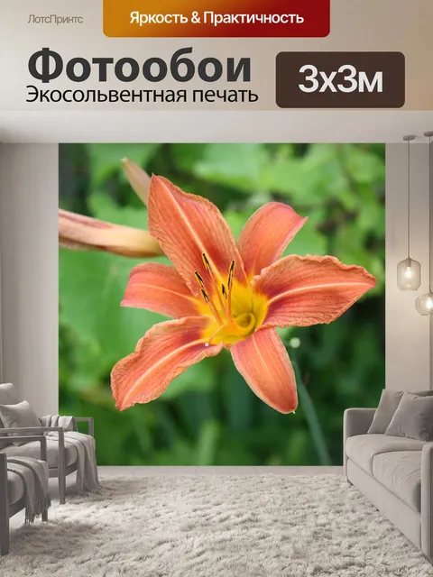 Фотообои Розовый шарм