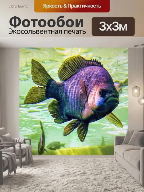 Фотообои Большая рыба
