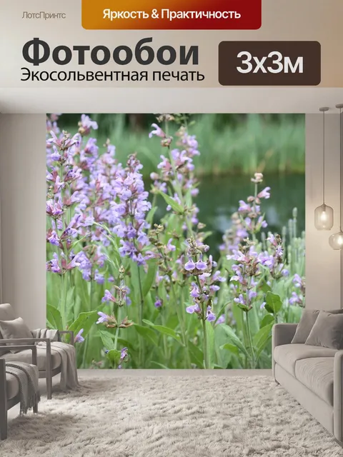 Фотообои Мудрец