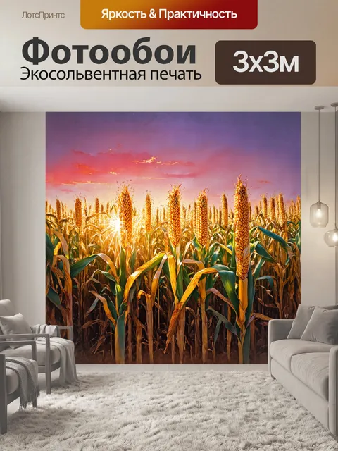 Фотообои кукурузное поле на закате