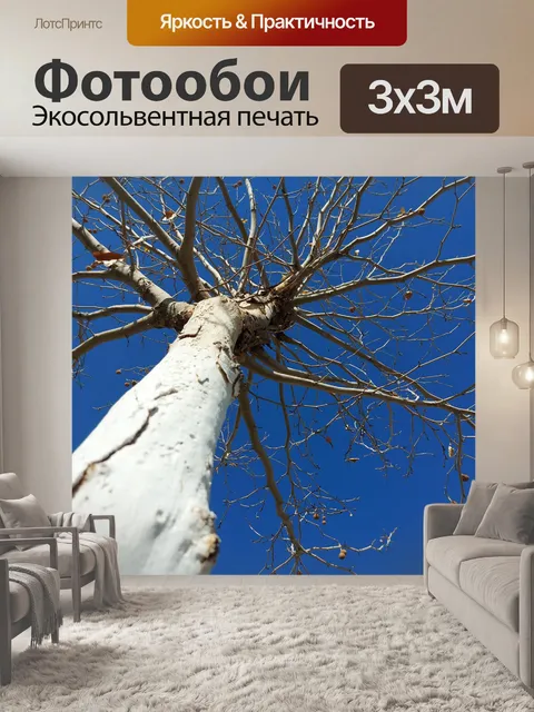 Фотообои Дерево