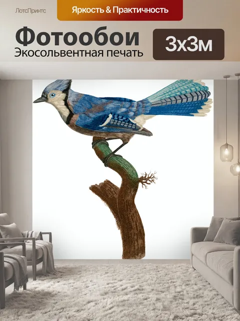 Фотообои Голубая сойка птица винтаж старый