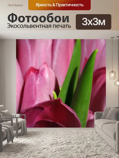 Фотообои Тюльпаны