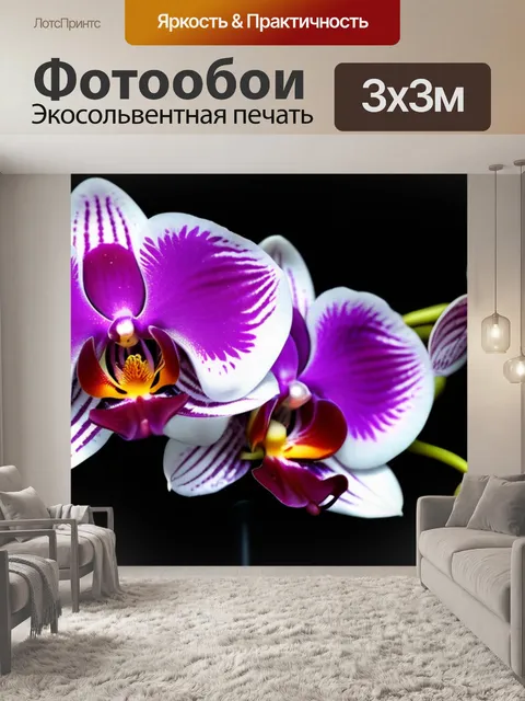 Фотообои изящные орхидеи на черном фоне