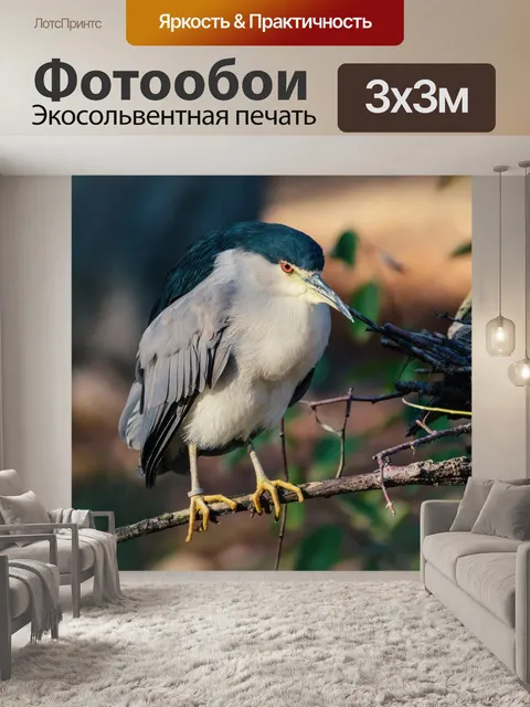 Фотообои Птица