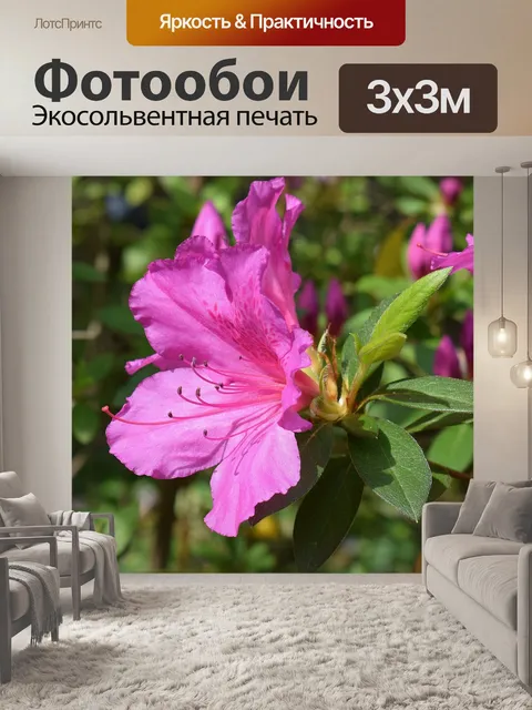 Фотообои Горячая розовая азалия