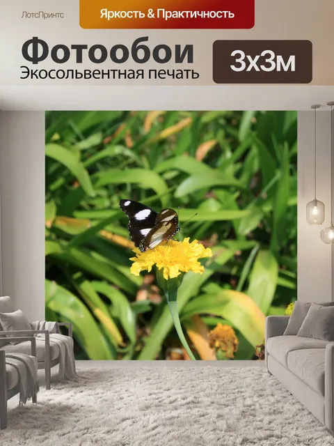 Фотообои бабочка на желтые ноготки