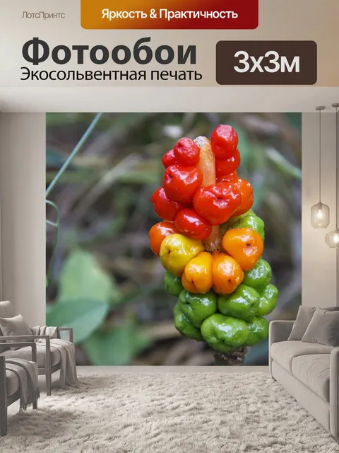 Фотообои Ягоды
