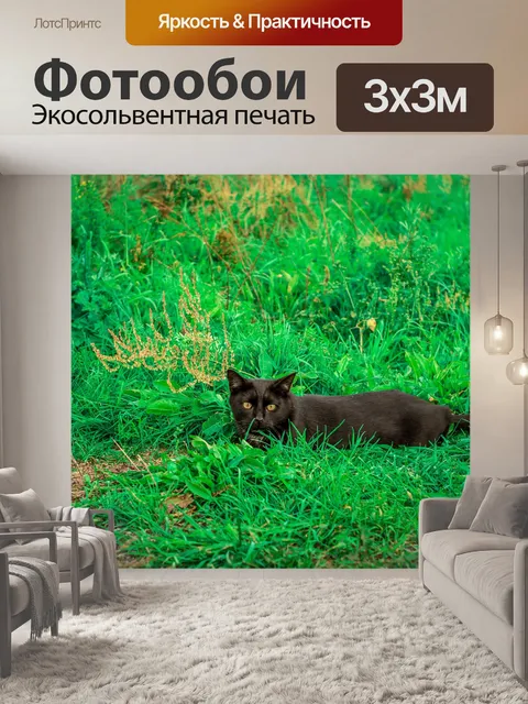 Фотообои Кошка