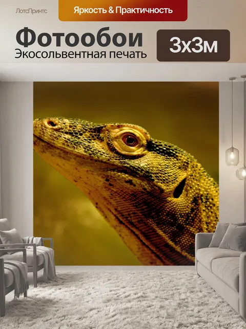 Фотообои Глава Комодо дракона