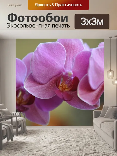 Фотообои Цветы