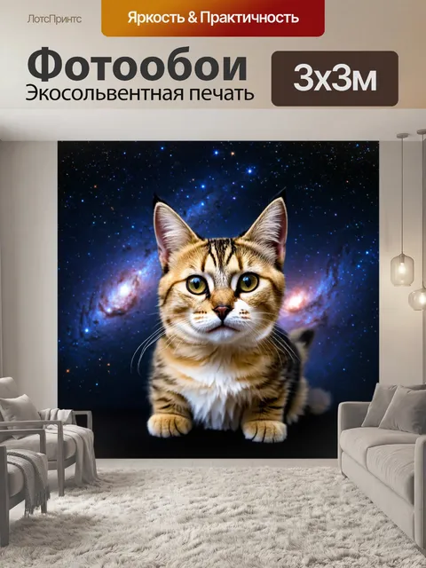 Фотообои кот на фоне космических звёзд