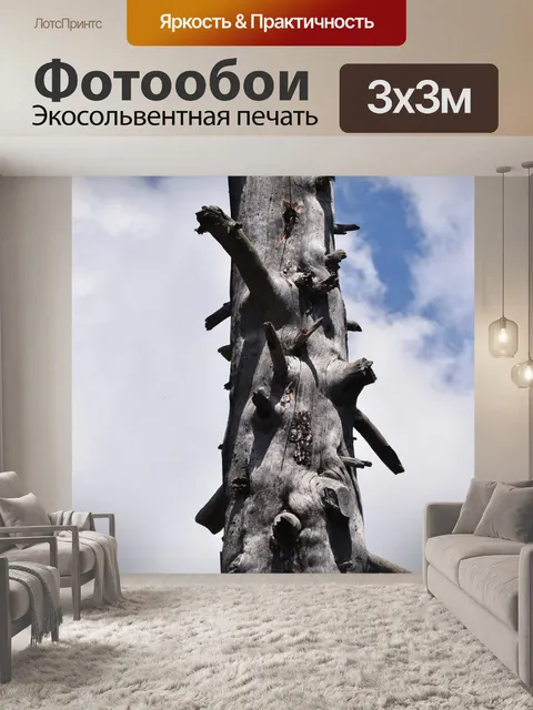 Фотообои Ствол