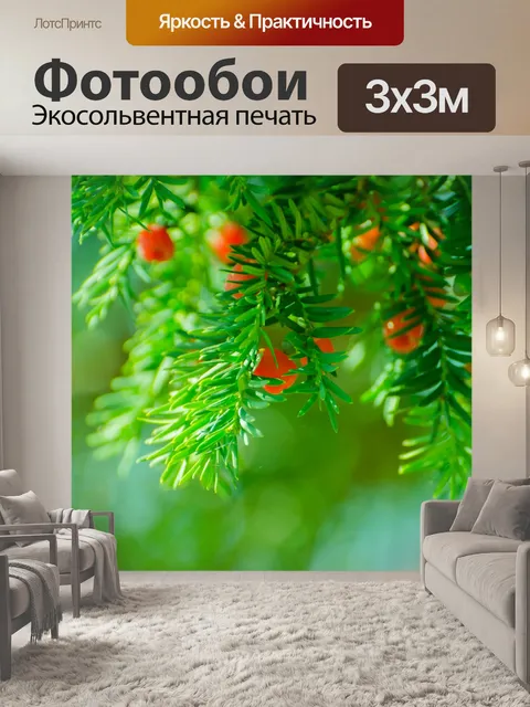 Фотообои Зеленая ветка иглы