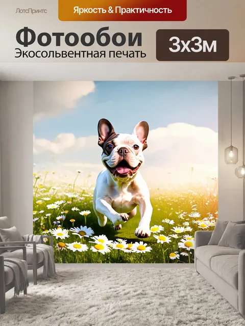 Фотообои счастливый французский бульдог, бегущий по цветущему полю с дикими ромашками, его уши развеваются на ветру