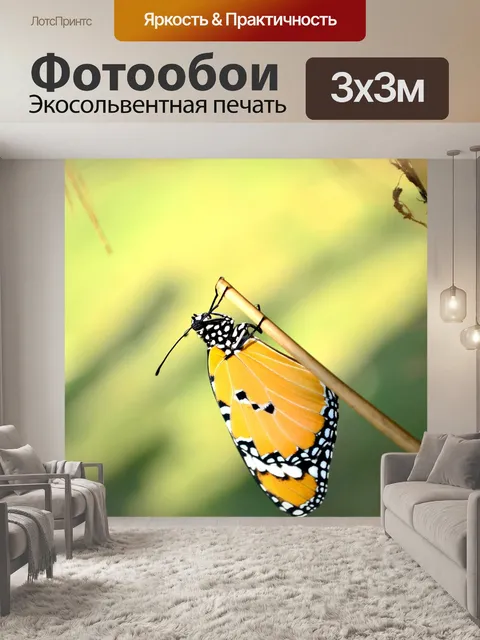 Фотообои Синий тигр бабочка