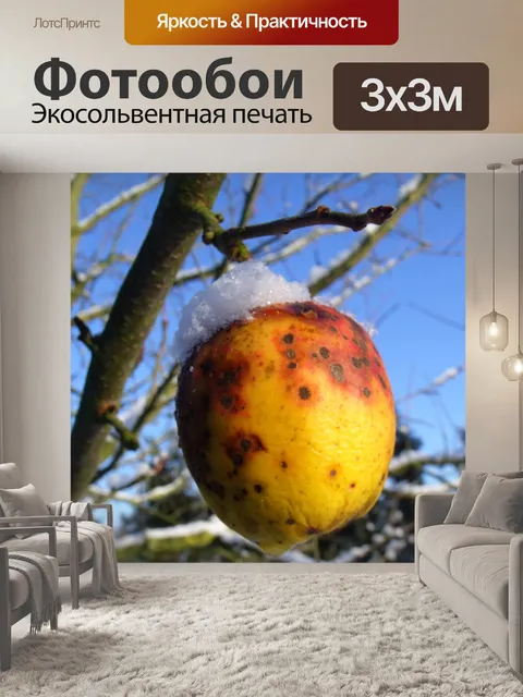 Фотообои Яблоня