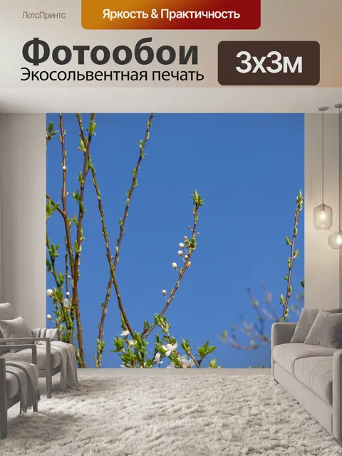 Фотообои Первые белые весенние цветы
