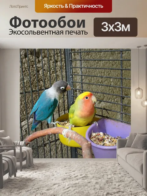Фотообои Птицы