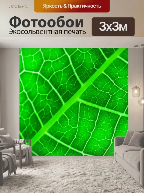 Фотообои Зеленый лист фон