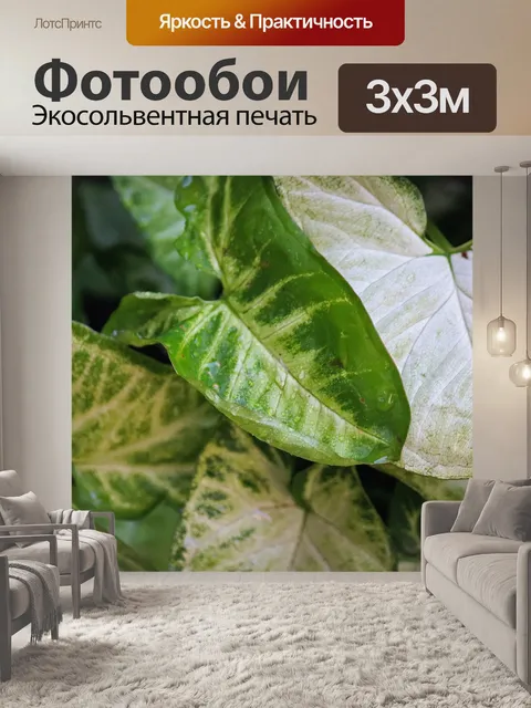 Фотообои белые и зеленые листья стрелки