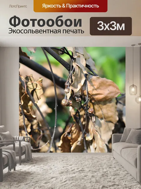 Фотообои Листья