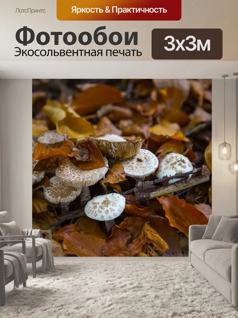 Фотообои грибы