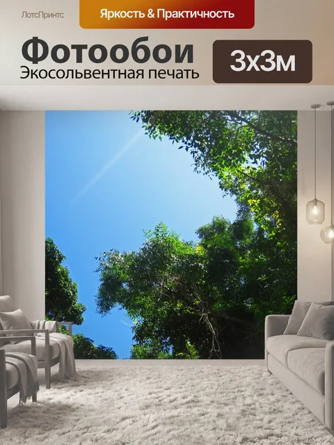 Фотообои вид сверху на пышные зеленые вершины дер
