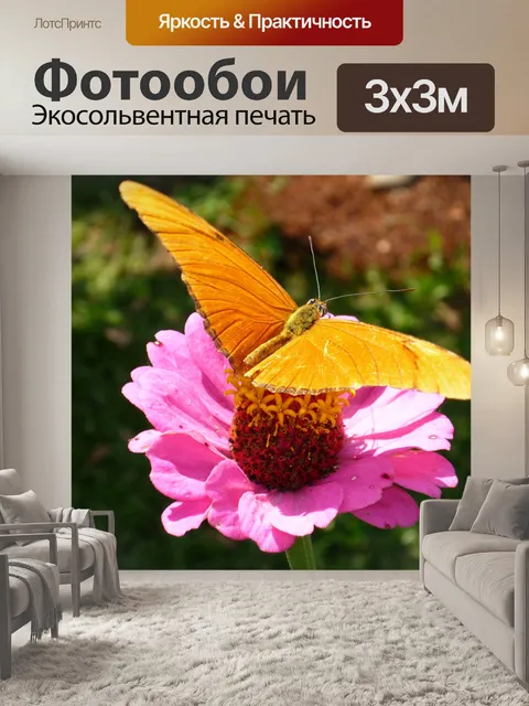 Фотообои бабочка на цветке