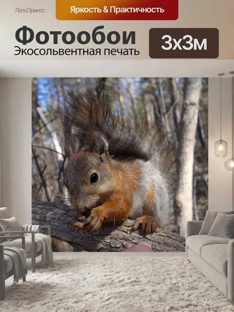Фотообои Белка