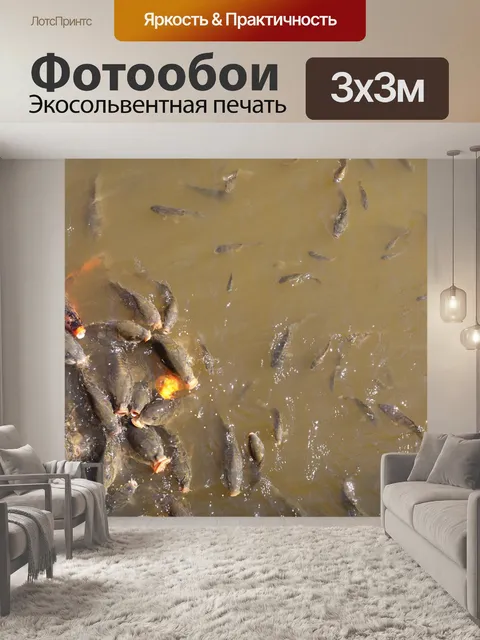 Фотообои Рыбы