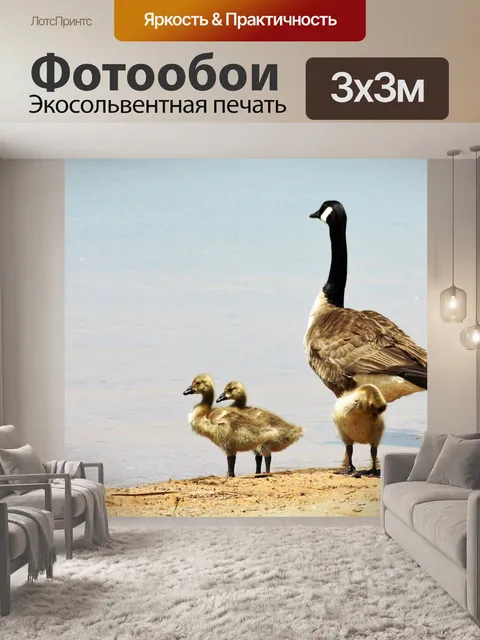 Фотообои Канада Гусь и Гослинг на пляже