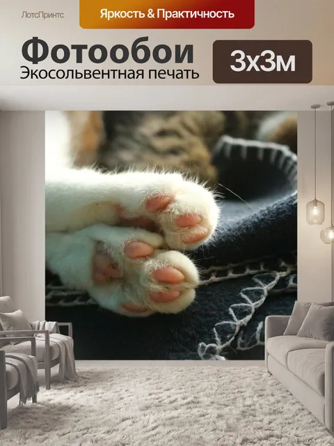 Фотообои Кот