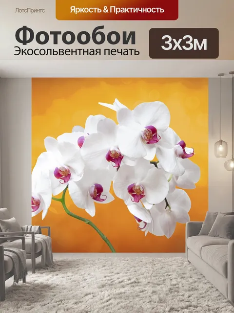 Фотообои Цветок