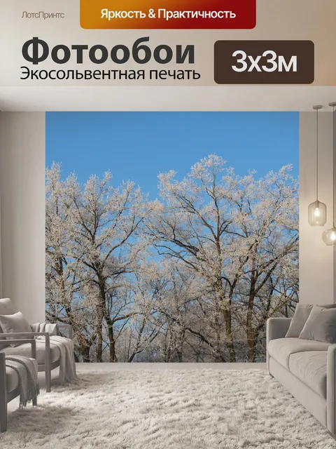 Фотообои Мороз