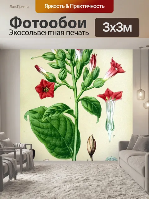 Фотообои Цветок розовый винтажное искусство