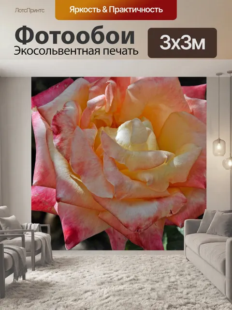 Фотообои Розовые и оранжевые розы