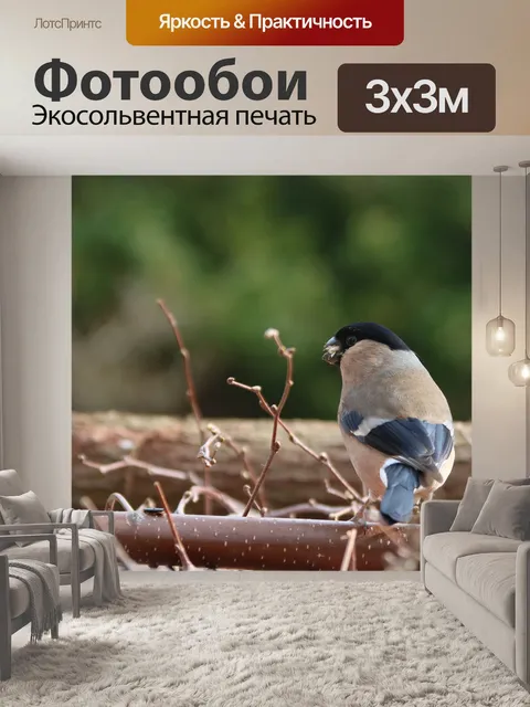 Фотообои Снегирь