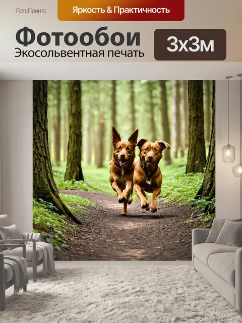 Фотообои собаки, исследующие лес, бегущие между деревьями