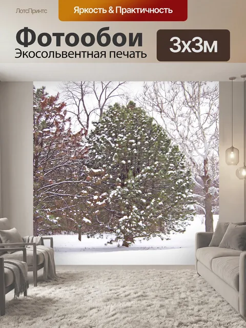 Фотообои Вечнозеленый кустарник